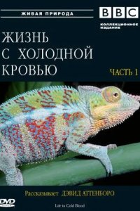 BBC: Жизнь с холодной кровью