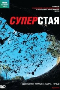 BBC: Суперстая