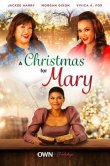 A Christmas for Mary