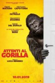 Attenti al gorilla