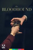 The Bloodhound